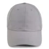 Paramount Apparel Silver Performance Cap