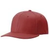 Richardson Cardinal Matrix R-Flex Cap
